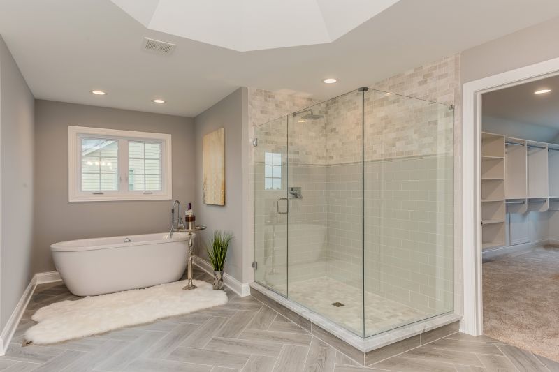 Modern Walk-in Shower Design Ideas